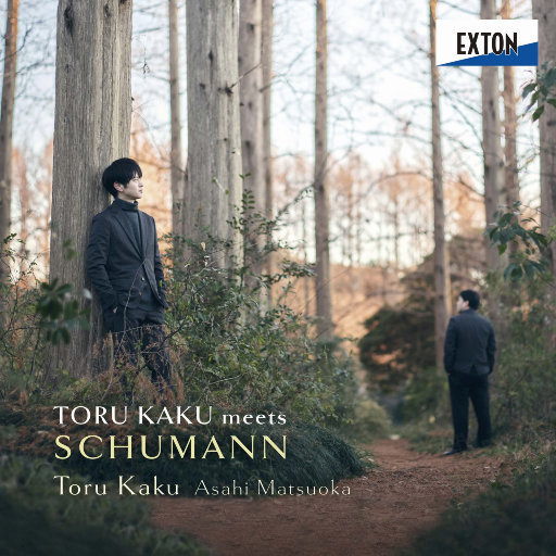 国产偷看歌舞艳舞
